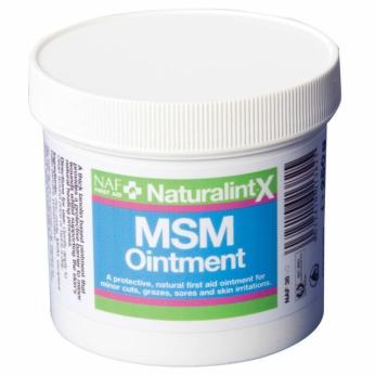 NAF Naturalintx MSM Ointment