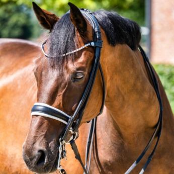 Finesse Cassidy Double Bridle|Bridle Bank