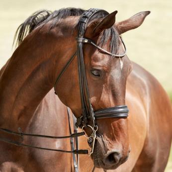 Finesse Cayenne Double Bridle|Bridle Bank