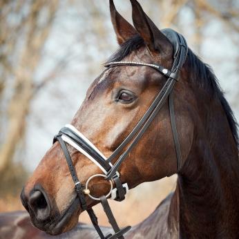Finesse Cayenne Snaffle Bridle|Bridle Bank
