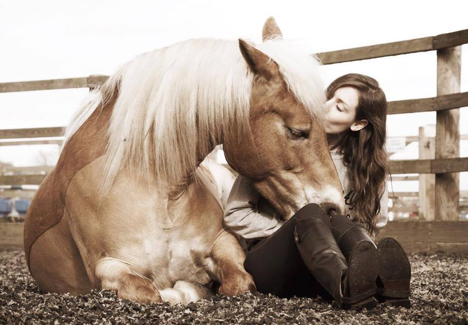 How Can I Build A Better Relationship With My Horse? By Lucy Chester