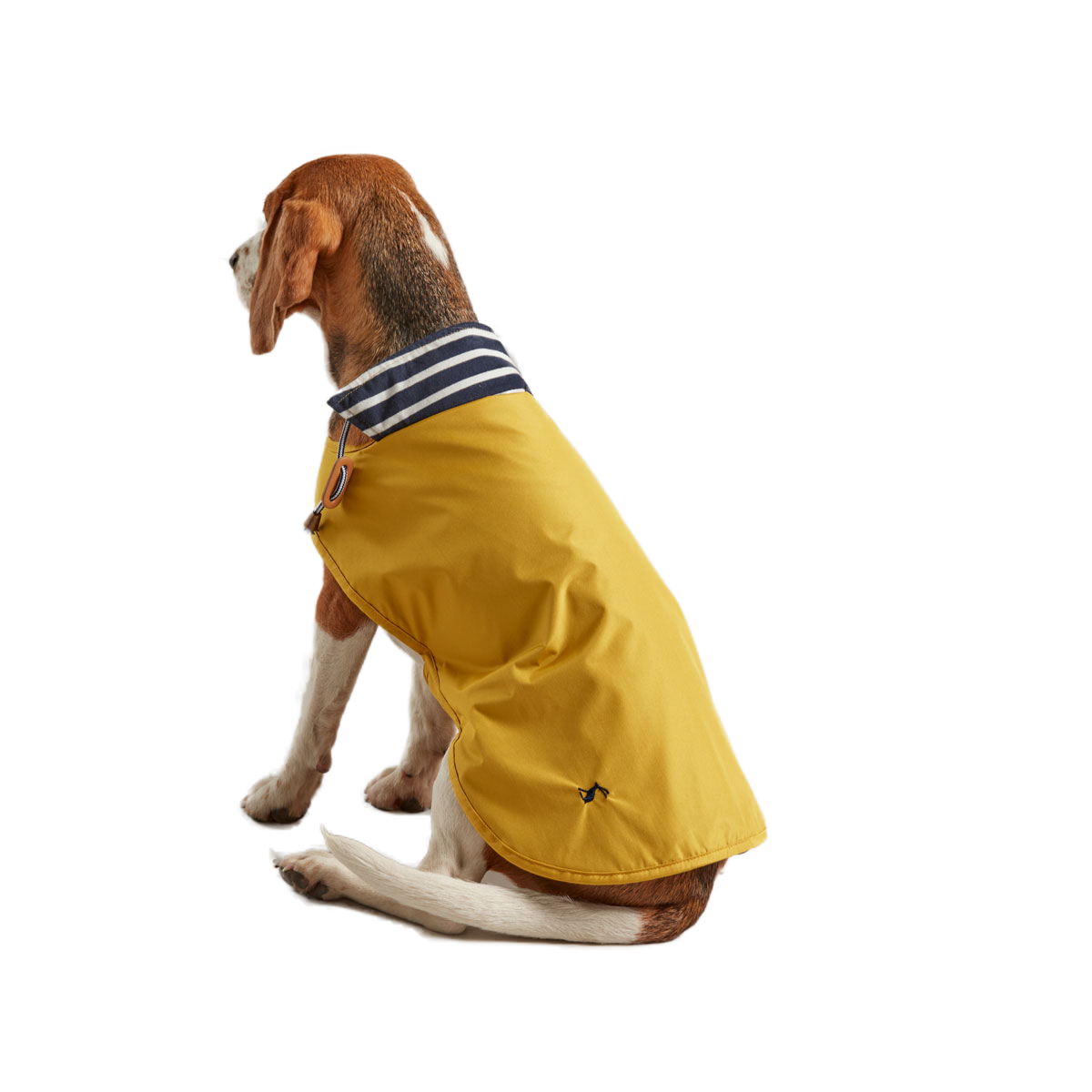 David Dyer Saddles Joules Water Resistant Dog Coat