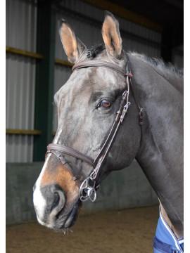 John Whitaker Ready to Ride Flash Bridle