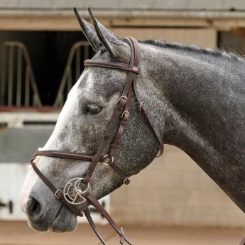 John Whitaker Ready to Ride Mexican Bridle