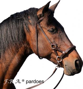 F.R.A. Pardoes side pull bitless bridle