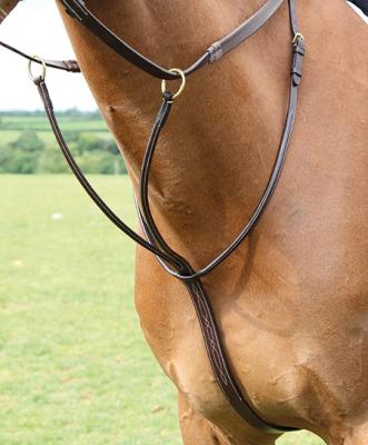 Salisbury Running Martingale