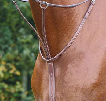 Avignon Standing Martingale Attachment - Padded Design With Clip - Full/X-Full Size In Havana Color