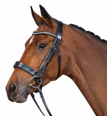 Fairfax Performance Cavesson Bridle 