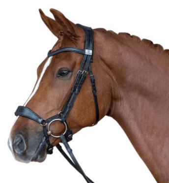 Fairfax Performance Drop Bridle 