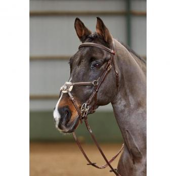 John Whitaker Valencia Mexican Bridle