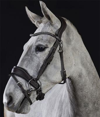David Dyer Saddles Bridles