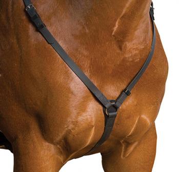 Wintec Breastplate