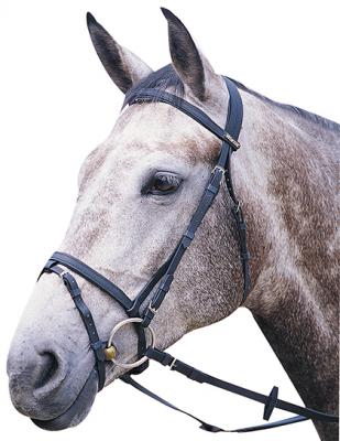 Wintec Bridle