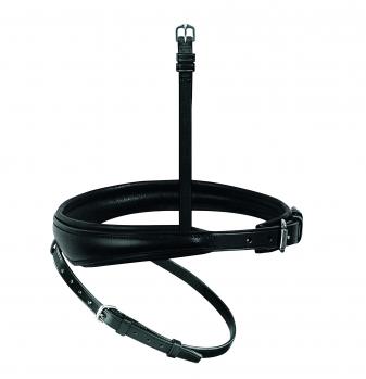 Passier Blu Spirit Flash Noseband