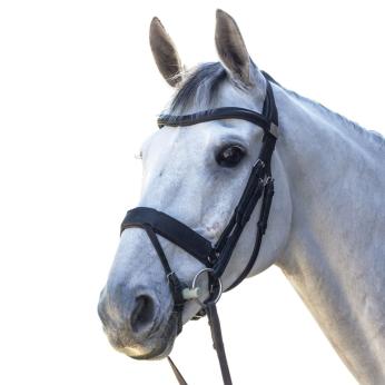 Fairfax Performance Flash Bridle