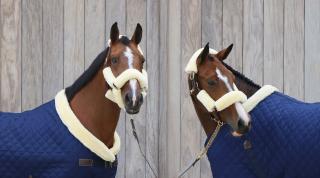 Kentucky Horsewear Sheepskin Halter Set 