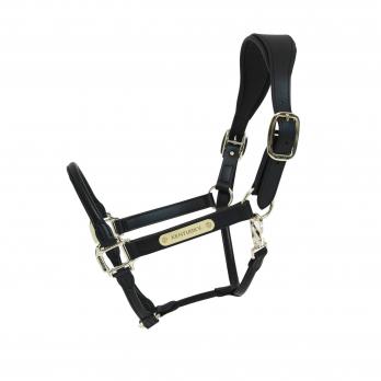 Diamante Leather Black, Cob Knight Rider Padded Leather Headcollars 3 Styles 4 Sizes! 2 Colours
