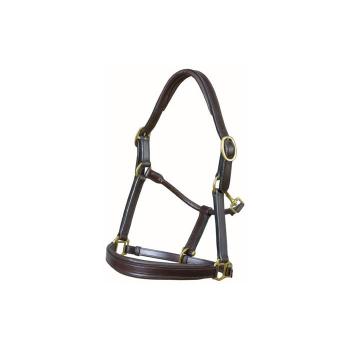 Jeffries Padded Leather Headcollar 