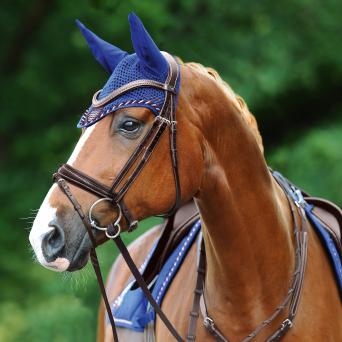 Passier No Limits Bridle 