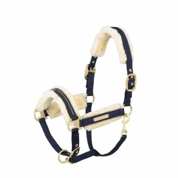 Headcollar and Lead Rope Set Rose Gold & Pink FULL  FREE UK Postage 