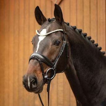 Passier Favorite Bridle powered by Ingrid Klimke