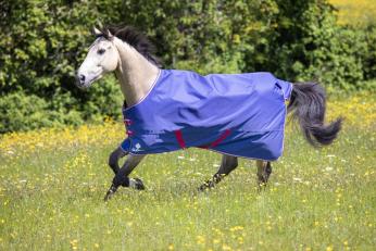 Tempest Original Air Motion Turnout Rug