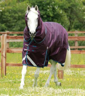 Premier Equine Titan 200g Turnout Rug with Snug-Fit Neck Cover