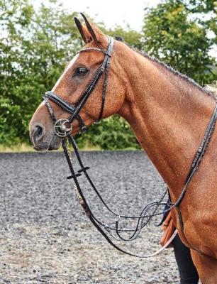 Stubben Switch Snaffle+Weymouth Bridle- Dressage Tack