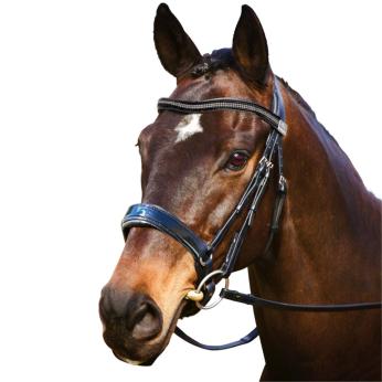 Fairfax Performance Patent Cavesson Bridle 